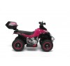 Quad Elettrico Per Bambini Racer  Rosa con luci suoni Mp3  bauletto marcia avanti indietro e accellelratore