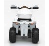 Quad Elettrico Per Bambini Racer Sport con luci suoni Mp3  bauletto marcia avanti indietro e accellelratore